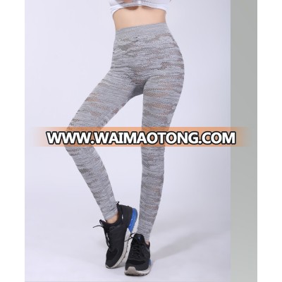 2018 new creative product young sport vitality sexy fashionable sunshine seductive seamless women's hot sell legging